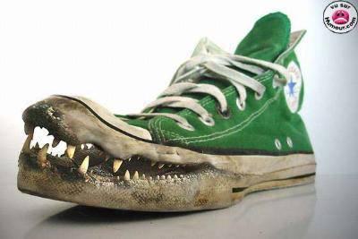  \ \ converse / /